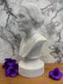 Bonded Marble bust of Susan B Anthony 